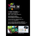 德國 STAEDTLER 施德樓 彩繪筆 硬毛刷尖 彩繪筆 單支